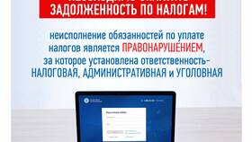 Что такое отрицательное сальдо в Аптека Норма