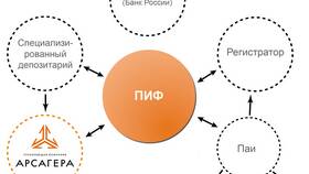 Что такое пай в инвестициях в Аптека Норма