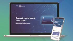 ФНС: что означает положительный баланс в Аптека Норма