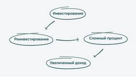 Как инвестиции влияют на экономику в Аптека Норма