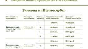 Как купить билет по справке в Аптека Норма