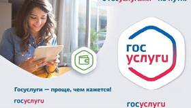 Как оформить ТСР на Госуслугах в Аптека Норма