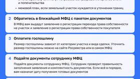 Как оформить земельный участок через МФЦ в Аптека Норма