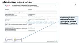 Выписка ЕГРН: на что обратить внимание в Аптека Норма