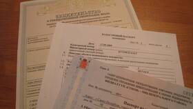 Зачем нужен договор при операциях с квартирой в Аптека Норма