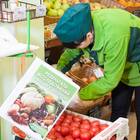 Когда появляются зеленые ценники во ВкусВилл